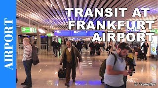 TRANSIT WALK AT FRANKFURT Airport FRA Terminal 1  Connection Flight Transfer Arriving amp Departing [upl. by Ahsiuqram265]